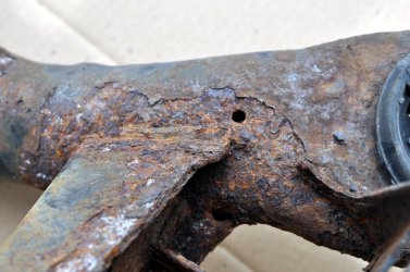 rost_01.JPG
