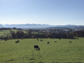 IMG_0839.jpeg IMG_0839.jpeg