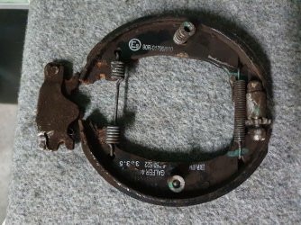 335.jpg