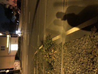 A738A8FF-C336-45F6-A7F3-DEC2ACECBAA7.jpeg