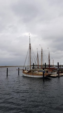 20201102_122154 (Copy).jpg