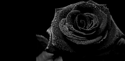 Screenshot_20201116-220014_Gallery.jpg