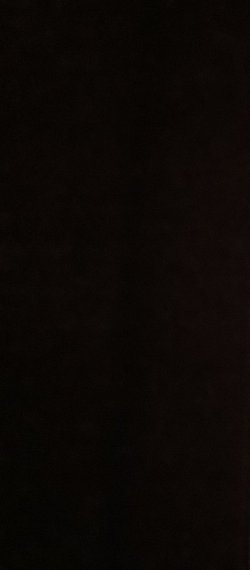 2D12373B-4EB2-4911-9486-90992D8B583E.jpeg