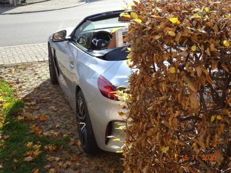 Z4_Nov2020 (11)vk.jpg