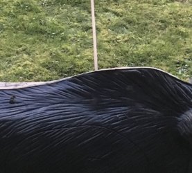 287F2E0B-E6F5-4106-93CE-35456768DE2E.jpeg