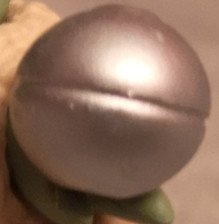pic_2.jpg