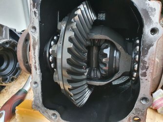 354.jpg