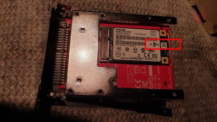 20201120_194632_SSD5_sm.jpg