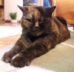 20180314_183840_crop_584x571.jpg