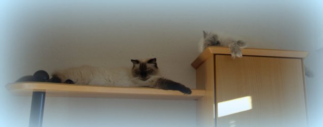 DSC_0001.jpg