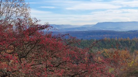 20201122_140224.jpg