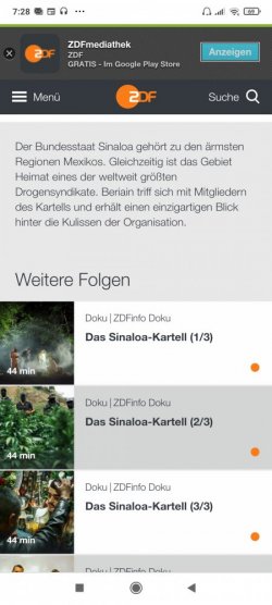 Screenshot_2020-11-25-07-28-56-930_com.android.chrome.jpg