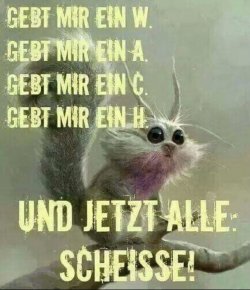 5E43C47C-DA2F-47B0-8FE3-AB2D4F72084A.jpeg