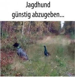 12Unbenannt - Kopie.JPG