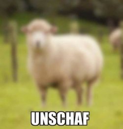19Unbenannt - Kopie.JPG