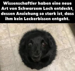 tUnbenannt - Kopie.JPG