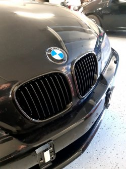 08nierenneu.jpg 08nierenneu.jpg