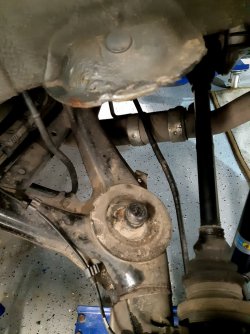 10federteller1.jpg 10federteller1.jpg