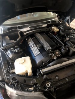 31motorsauber1.jpg 31motorsauber1.jpg