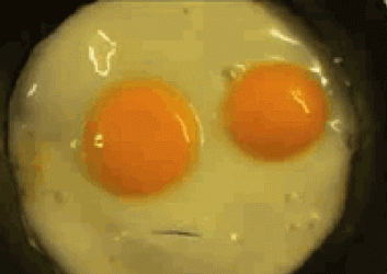 F75FC7D2-239C-4EDF-B9F1-1BF90BA0B441.gif