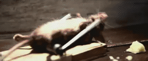 B37D0BA4-E804-423D-8FE8-BD6ABE60A973.gif