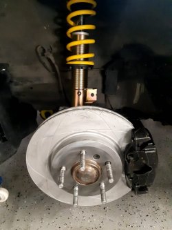 37ohne.jpg 37ohne.jpg