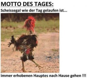 E7E4C196-C132-496C-89FF-AB95116CF912.jpeg