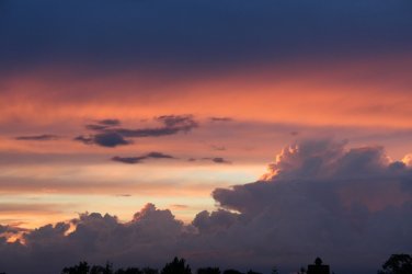 IMG_2301.jpg