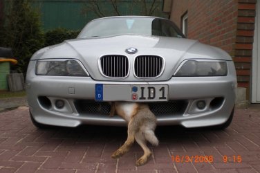 Osterhase.jpg