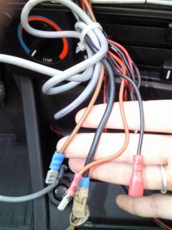 Foto030 (Medium).jpg
