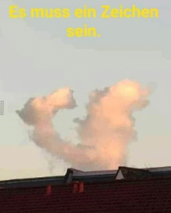 1607337371507.png