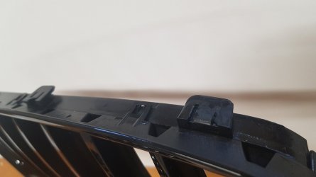 Z4 e89 Nieren schwarz glänzend (5).jpg