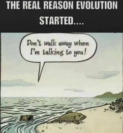 0275F027-167B-4552-95B0-34769D7F9BE1.png