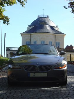 Zetti_061008-04_klein.jpg