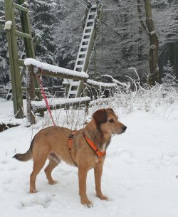 im Schnee am Lift.jpg