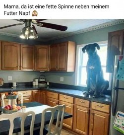 T..jpg