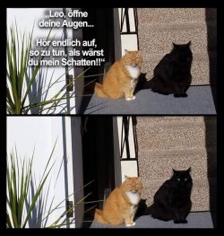15EDD1BE-F48A-4616-B4CB-E316498F0EEB.jpeg