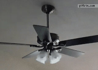 E16936D6-2D60-49D1-AE38-7B22D46C797E.gif