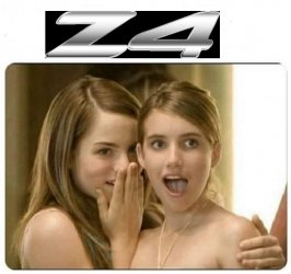 Z4.jpg