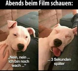 ,..jpg