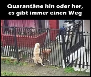DF04CB7A-70D3-42C0-850E-63B0523E54C4.jpeg