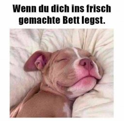 ,.jpg