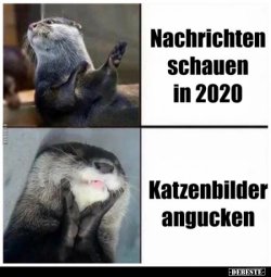 1608447722945.jpeg