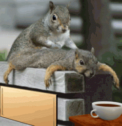 6B6F6502-495B-4678-8A87-E06687F65849.gif