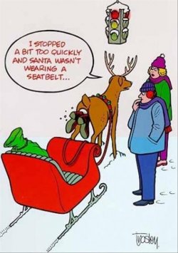 Santa No Seatbelt.JPG