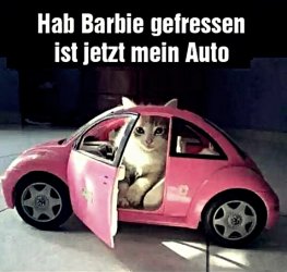 ,.jpg