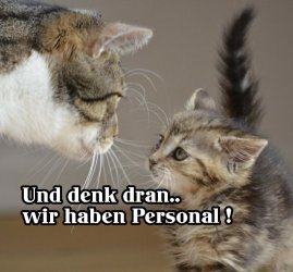 ..jpg