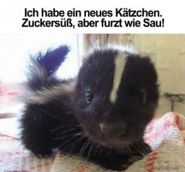 ...jpg