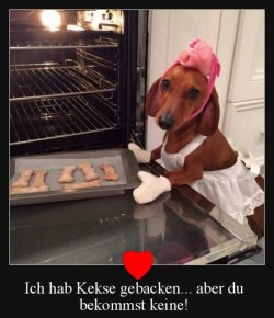 ...jpg