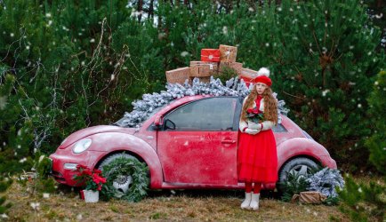 Beetle..jpg